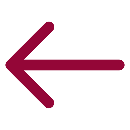 Back Button Icon